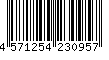 4571254230957