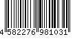 4582276981031