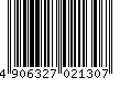 4906327021307